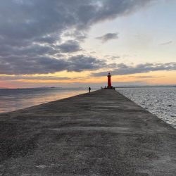 初冬でもチヌは気軽に狙える